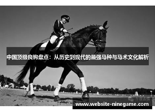 中国顶级良驹盘点：从历史到现代的最强马种与马术文化解析